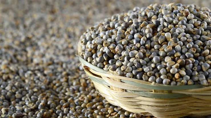 Our Products Fox Nuts (Makhana) 4 7b6bbf 5c2e1207773d403c8f9518f6fad9e1bdmv2 min