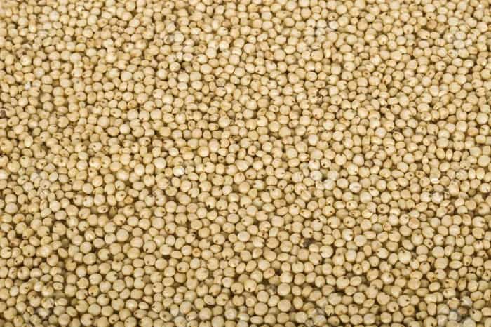 Our Products Fox Nuts (Makhana) 5 jowar min 1