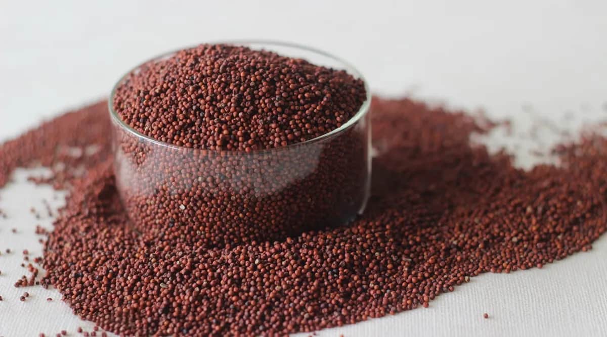 Ragi (Finger Millet)